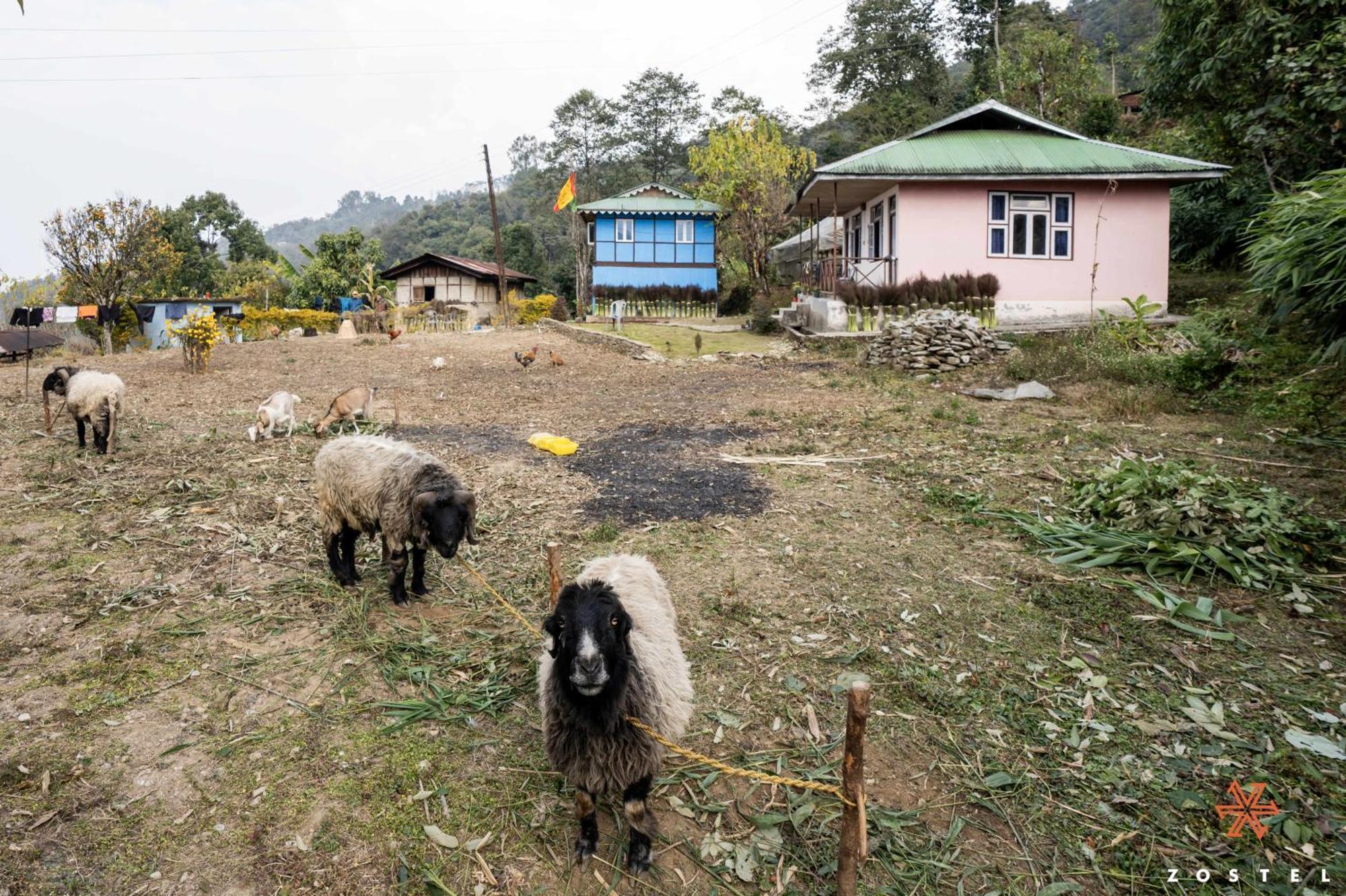 A Pousada Zostel Rinchenpong Exterior foto